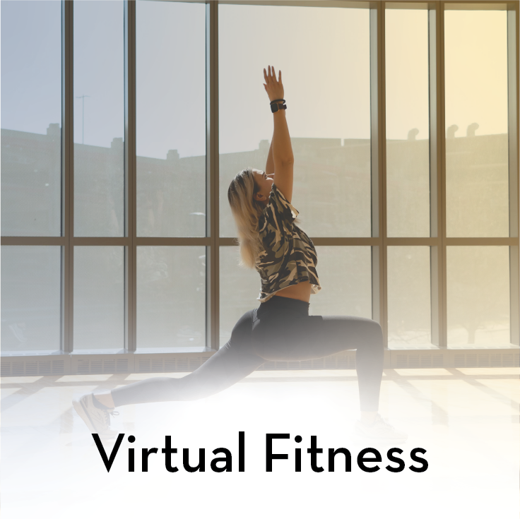 Virtual Fitness