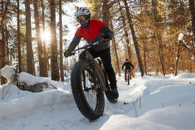 image of two people fat biking through a snowy forest 