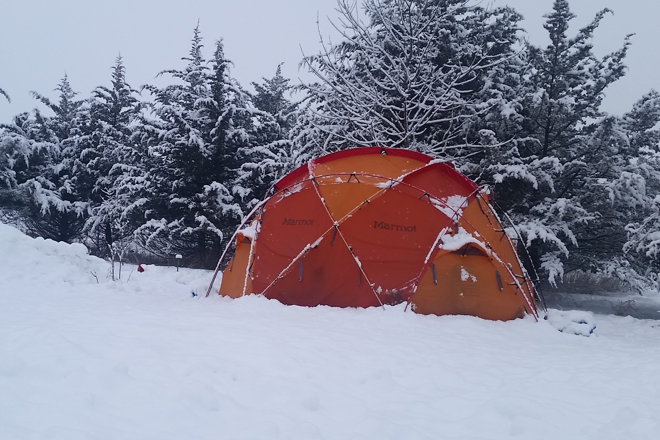 image of an orange tent in a snow covered forest
