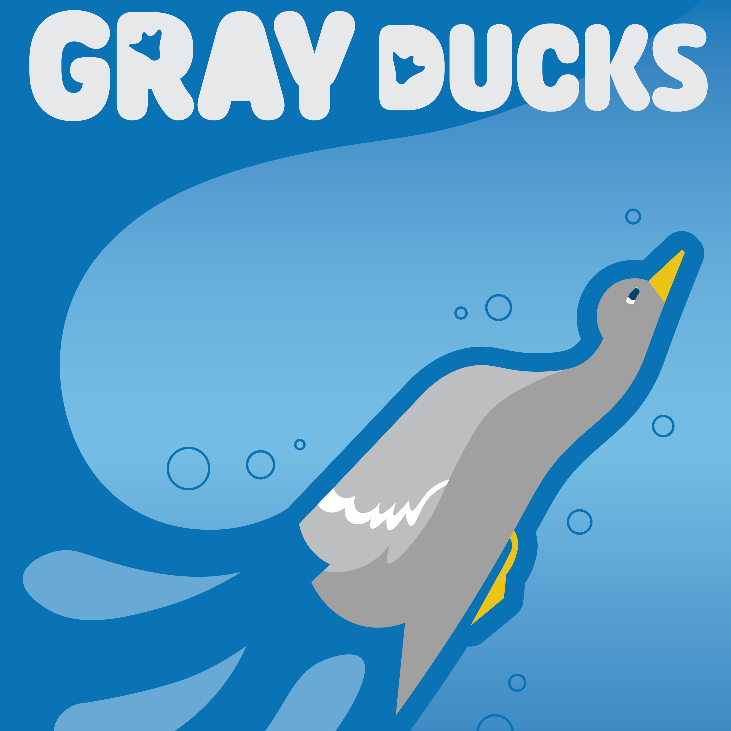 illustrated gray duck swimming upward with the title "gray ducks" 