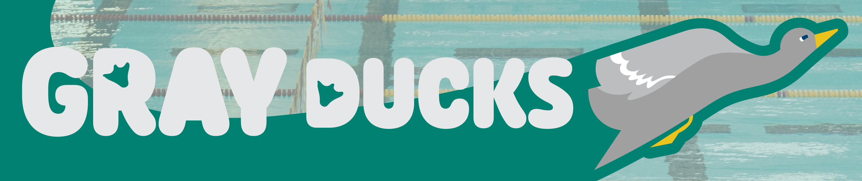 Duck illustration swimming up over picture of pool lanes