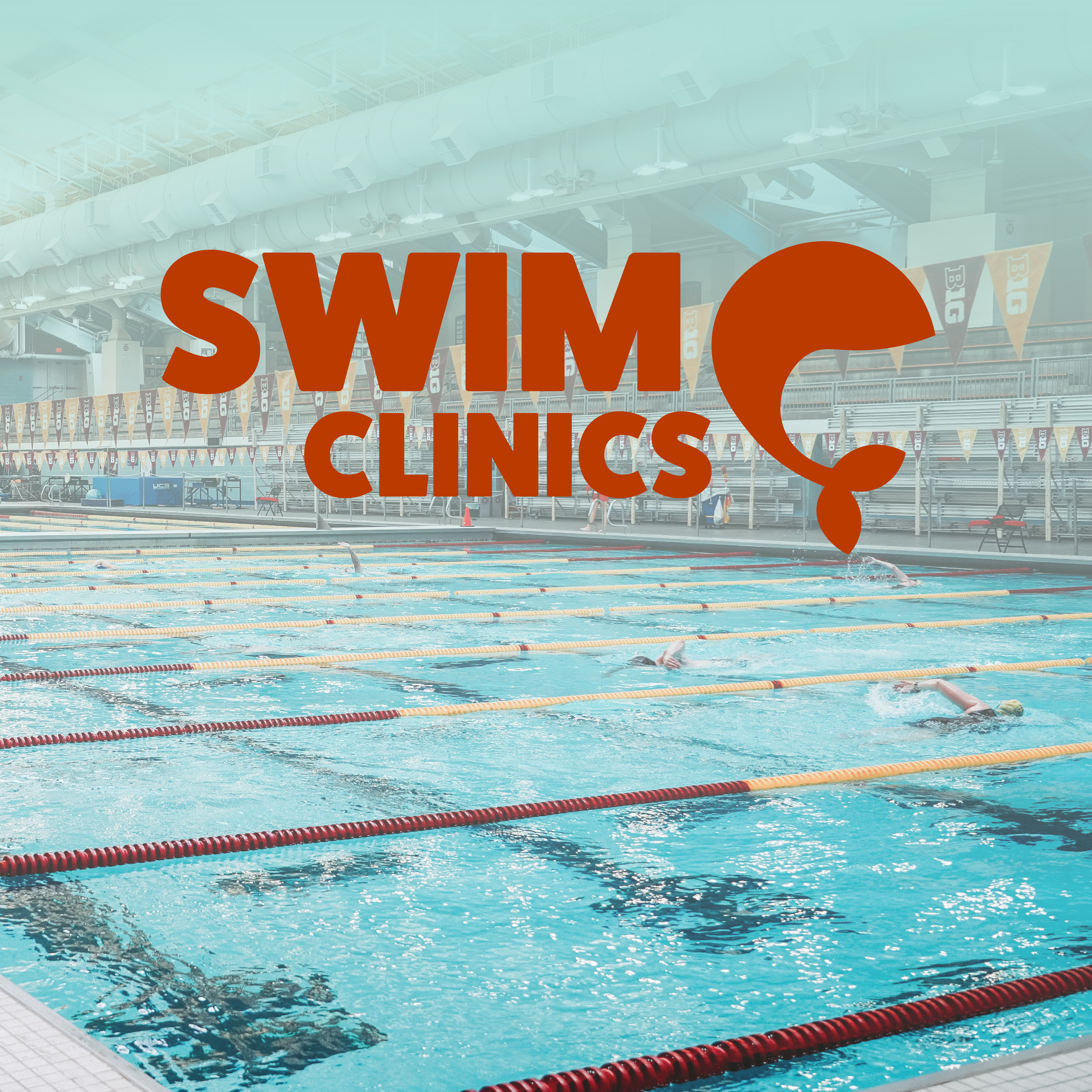 Wide view of the pool with swimmers in lanes with text "swim clinics"