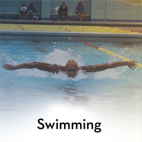 a swimming doing butterfly stroke down the pool lane