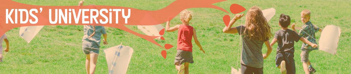 photo of kids flying kites in a grassy field