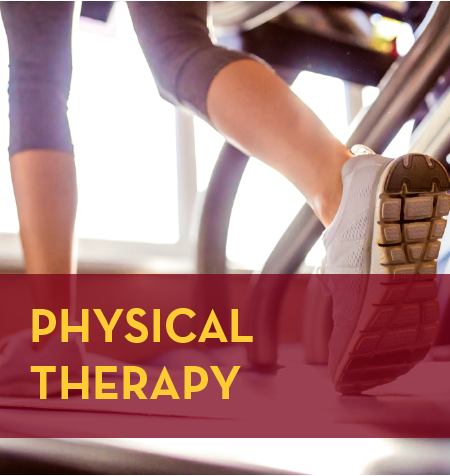 physical therapy information